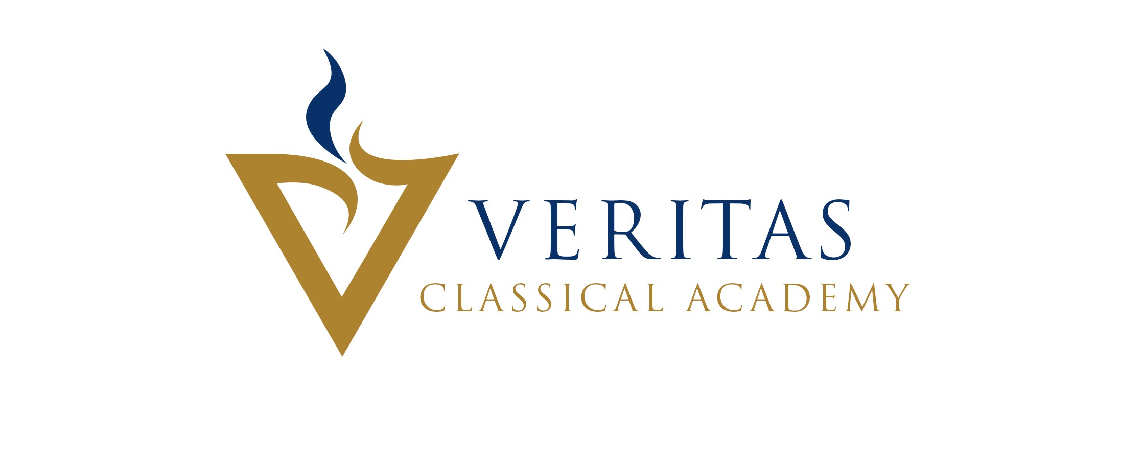 Veritas Horizontal logo